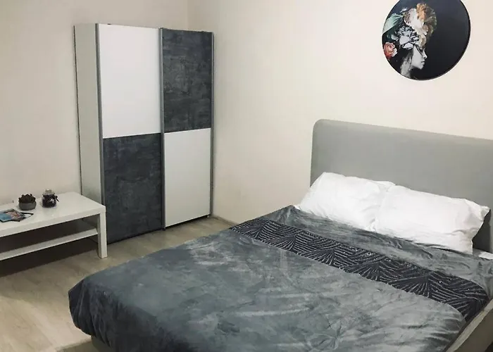 公寓 Reeas 蒂米什瓦拉