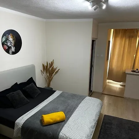 Appartement Reeas Timişoara