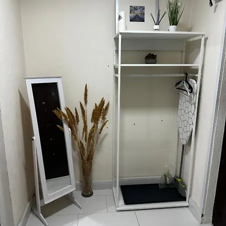 Reeas * 티미쇼아라