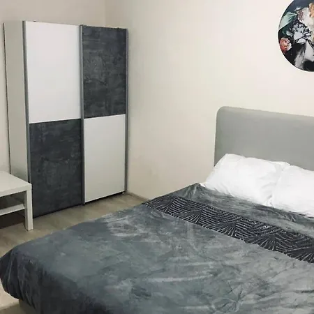 아파트 Reeas 티미쇼아라